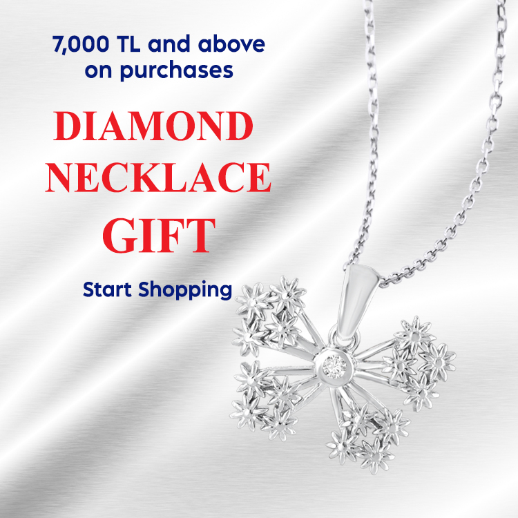 Click here for the Roberto Bravo Silver White Dreams Collection